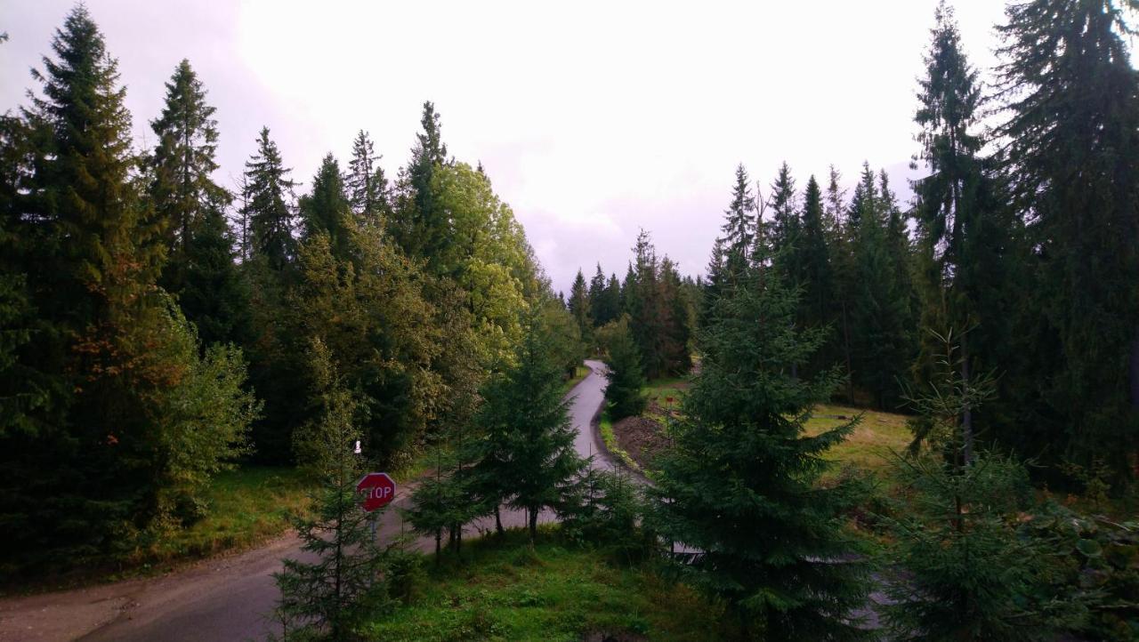 Willowa Chata Dzianisz Esterno foto
